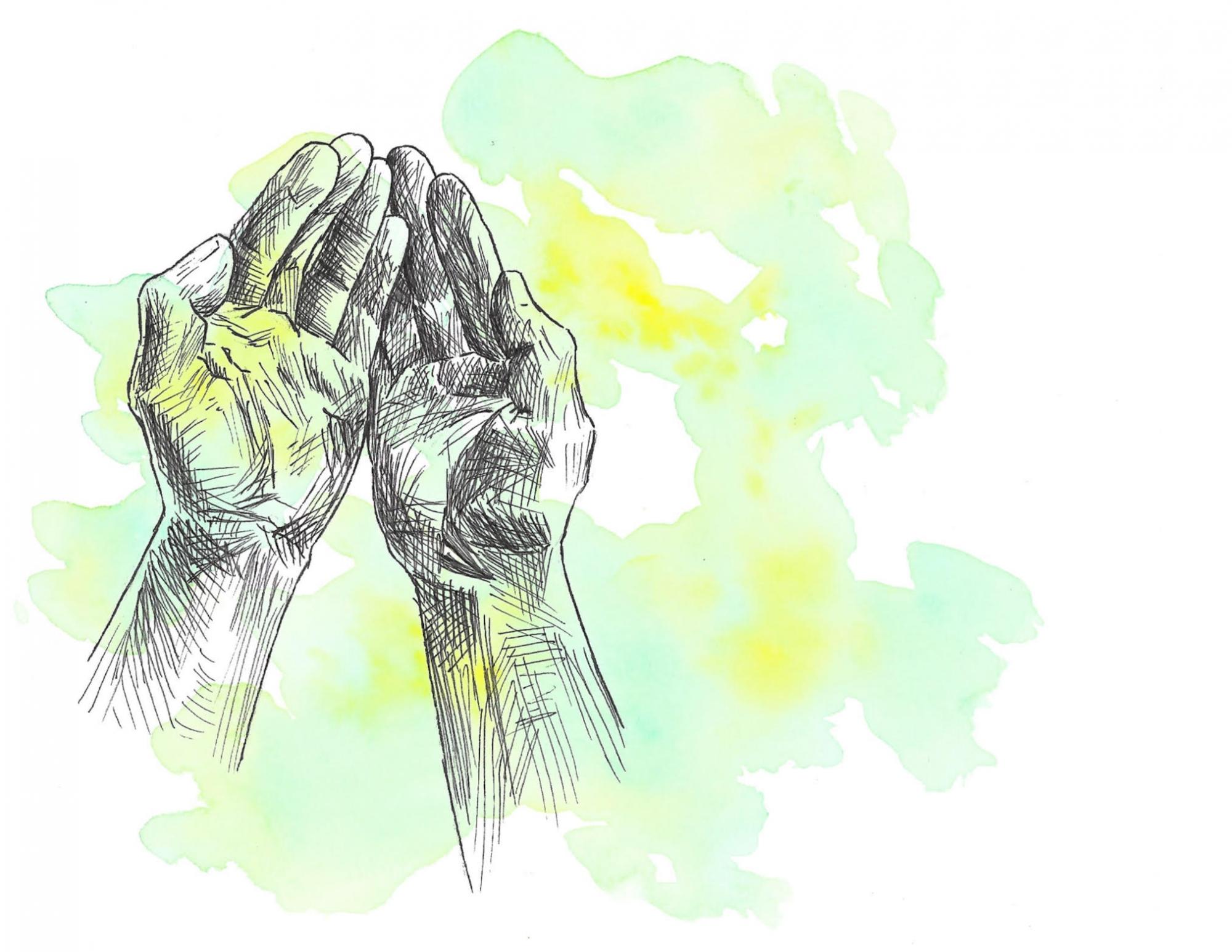 Bild von Marlene Meyer