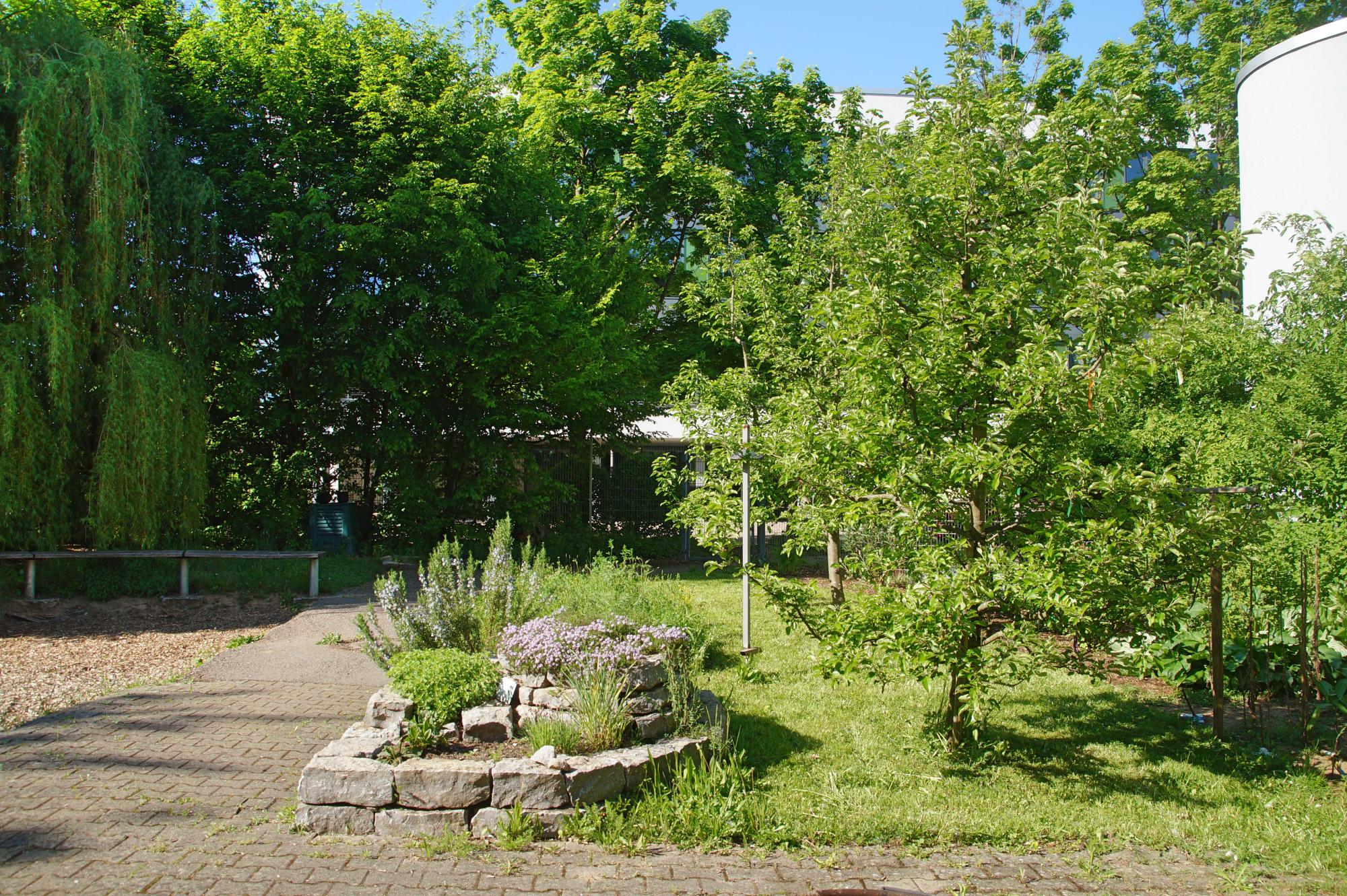 Schulgarten
