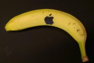 "Banapple" Maximilian Morlock, Kl. 9b