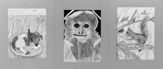 "Animals in their habitat"; Drawing in the hatching technique Bilingual Art Class 6a