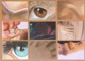 Pastellstudien zu Rembrandt