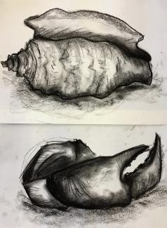 Bild skizzenhafte Studien