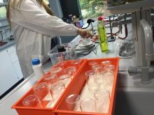 Selfcare durch Chemie