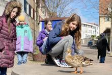 Kunstfachschaft sammelt für die Ukraine 4