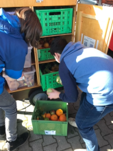 Blick in den Fairtailer