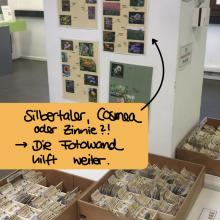 Saatgutbibliothek 2025 - Blumen, 