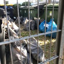 Müllsammlung nach dem Plogging