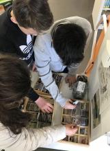 Wir leihen selbst Saatgut aus 😉