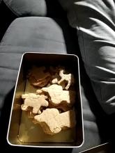 Eine Schülerin hat aus Brownie Brötchen gerettet. Das ist draus geworden: Retterlingplätzchen