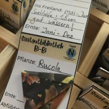 Ein erster Blick auf die Saatgutbibliothek 