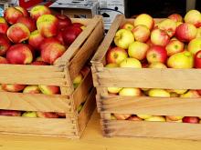 Foto gesundes Frühstück