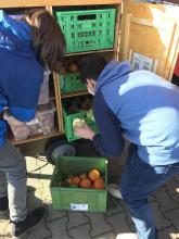 Brownie wird das erste Mal befüllt 💚