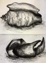 Bild skizzenhafte Studien